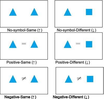 On truth and polarity in negation processing: language-specific effects in non-linguistic contexts